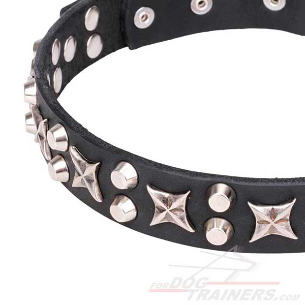 Metal stars and cones on your dog’s collar