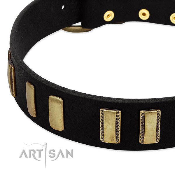 Black leather dog collar for fancy look