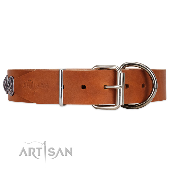 Super Stylish Leather Dog Collar with Reliable Fittings