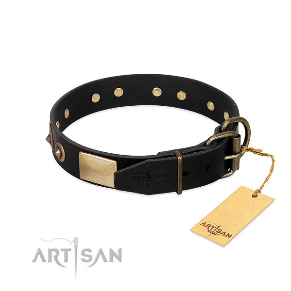 Black leather dog collar with reliable fittings