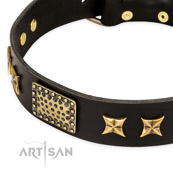 Black leather dog collar for great look