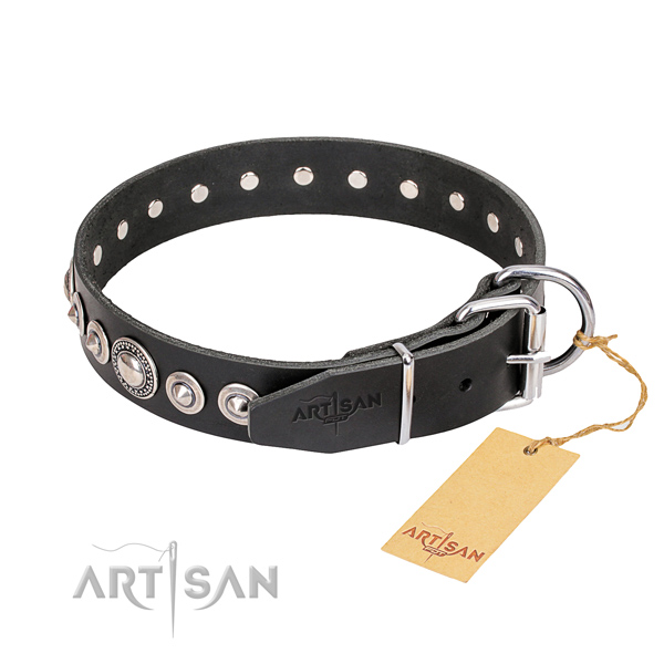 Black leather dog collar with chrome plated steel buckle and D-ring