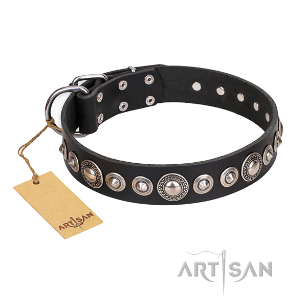 Black leather dog collar with engraved studs