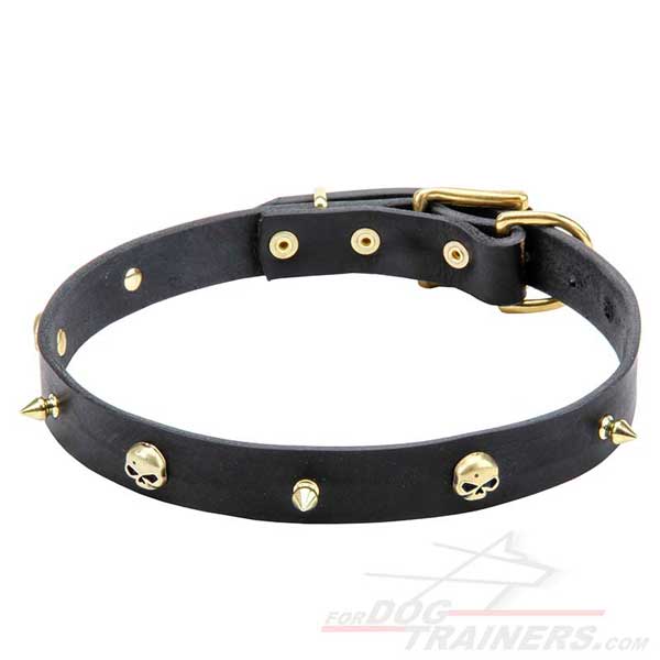 Dog collar with brass adornment
