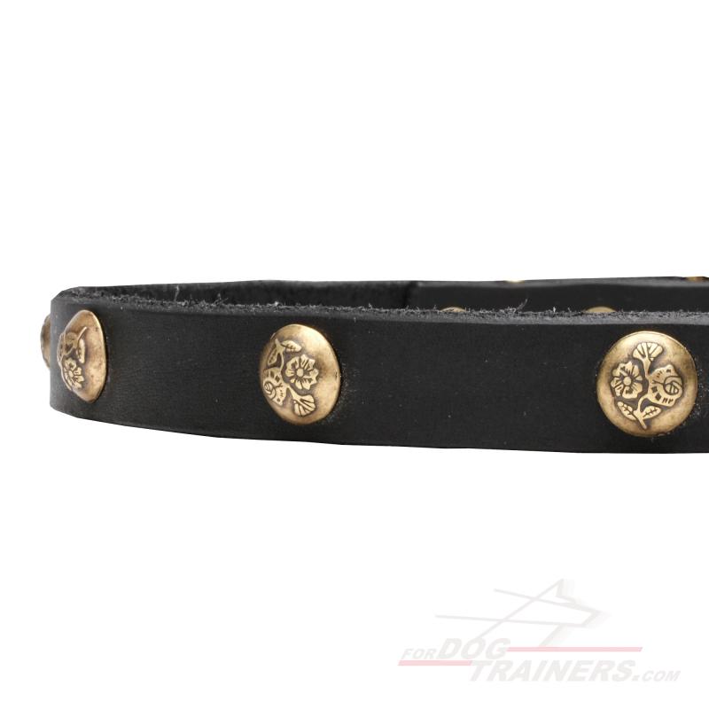 Versace Studded Leather Pet Collar - Black