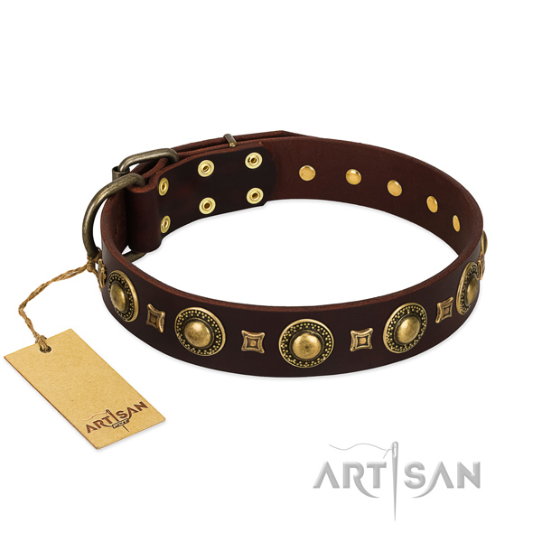 Extraordinary Brown Leather Dog Collar with Unique Adornments
