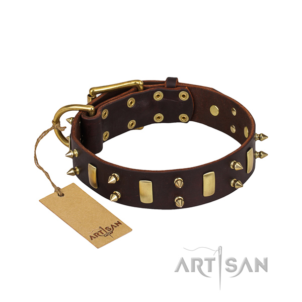 Sturdy brown leather dog collar with buckle and D-ring