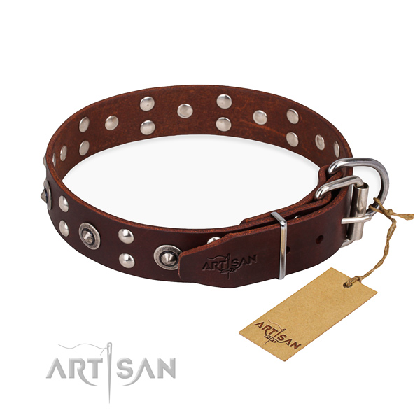 Brown leather dog collar with reliable fittings