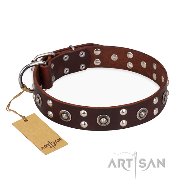 Brown leather dog collar with fashion decorations