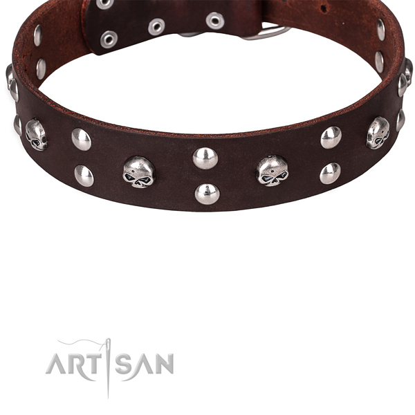 Brown leather dog collar with reliable hardware