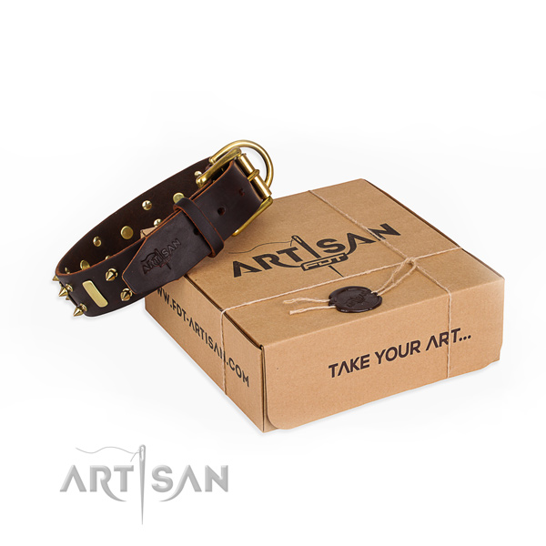Brown leather dog collar for with strong buckle