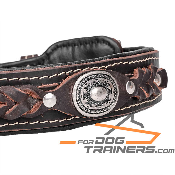 Brown Leather dog collar for comfy walking