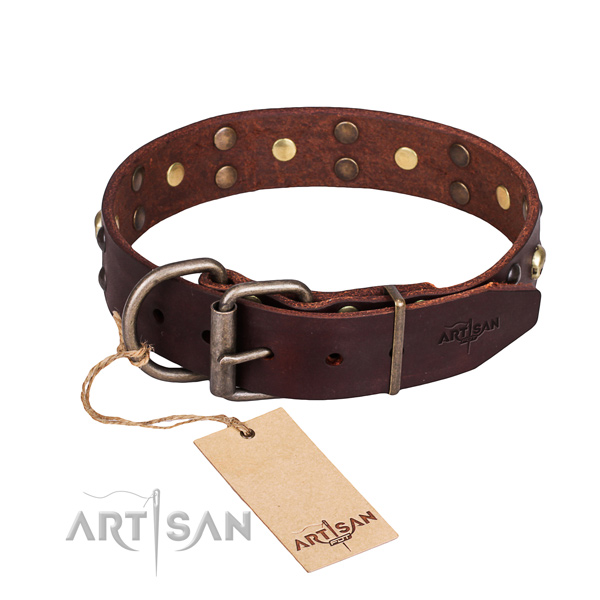 Brown leather dog collar with adjustable buckle
