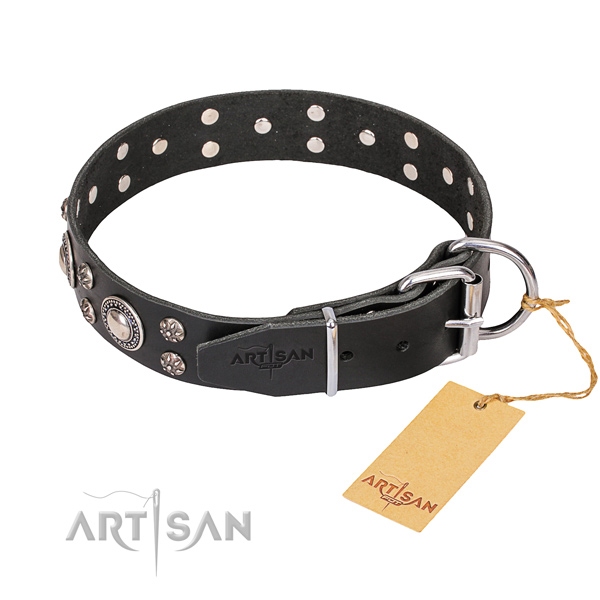 Black leather dog collar with chrome plated fittings