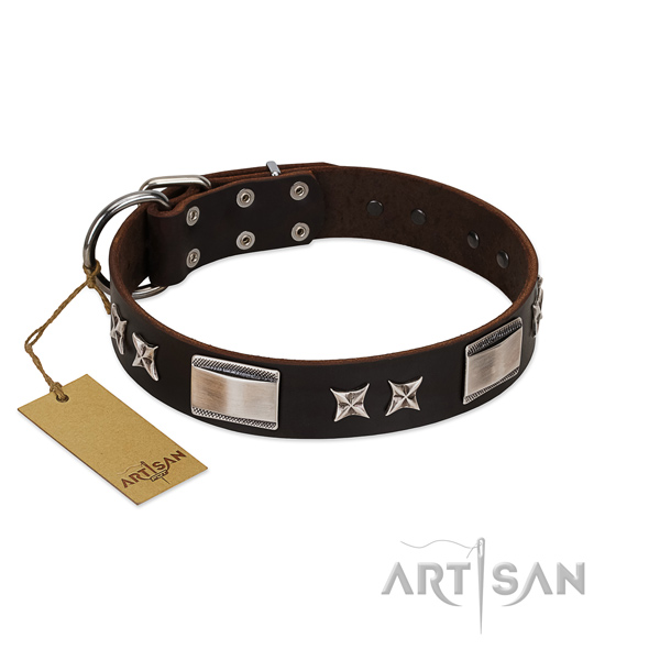 Best walking genuine leather dog collar with stars and plates