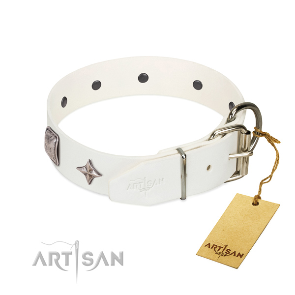 White leather dog collar adorned in a unique way
