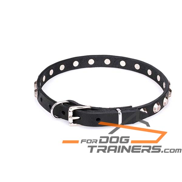 Buckled leather dog collar