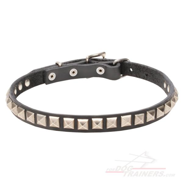 Leather dog collar with shiny chrome plated adornment