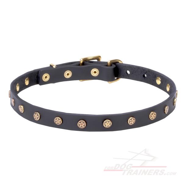 Decorated stars leather dog collar