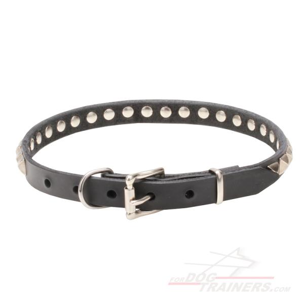 Decorated studs leather dog collar