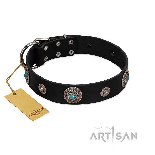 Stylish black leather dog collar with round studs and conchos