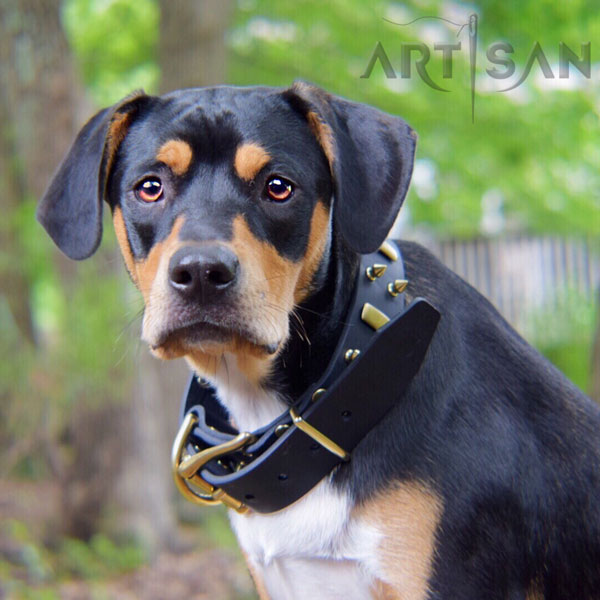 Brown Leather Dog Collar with Rustproof Brass Buckle