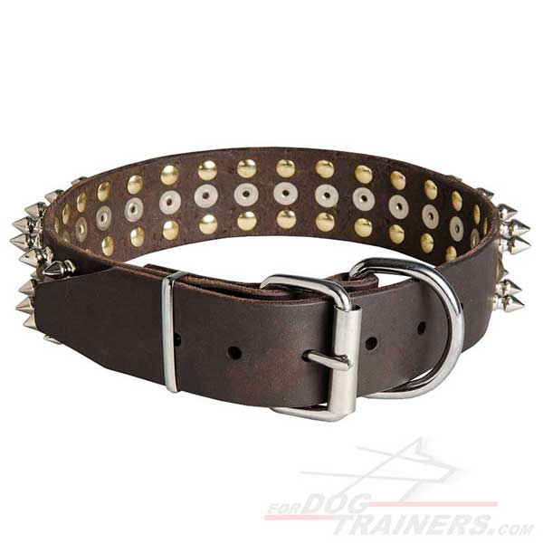 Fancy walking dog collar pure leather
