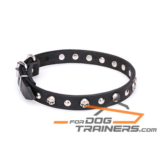 Strong dog collar made of genuine leather