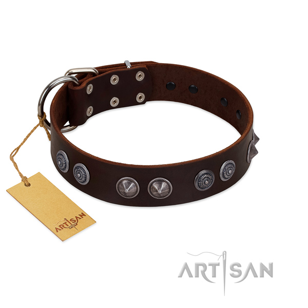 Decorated Brown leather dog collar - safe for everyday activities