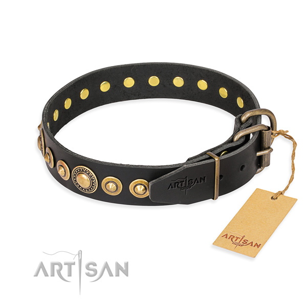 Daily black leather dog collar with buckle and D-ring