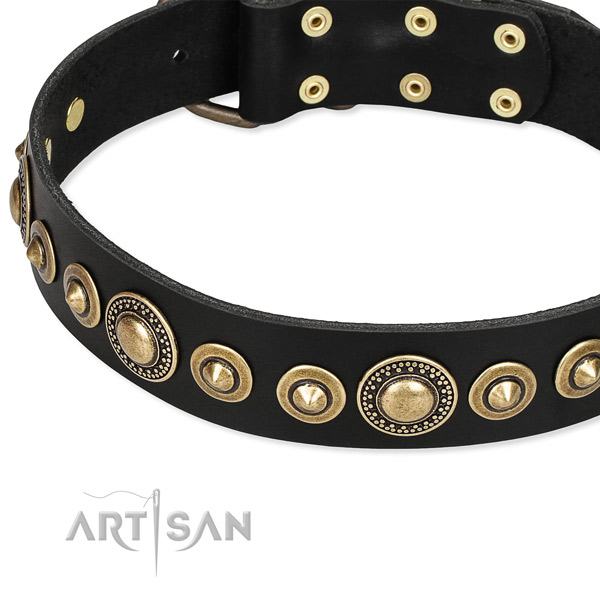 Leather dog collar with reliably attached studs
