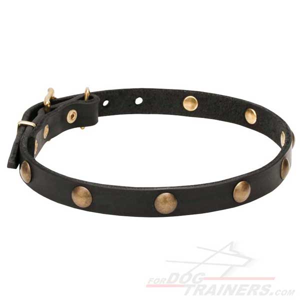 Leather dog collar with brass adornment