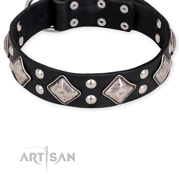 Reinforced black leather dog collar with rivets
