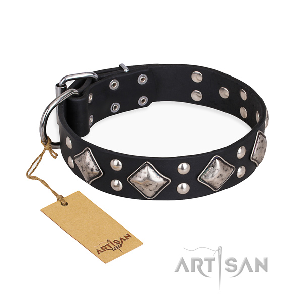 Black leather dog collar with silver-like plated decorations