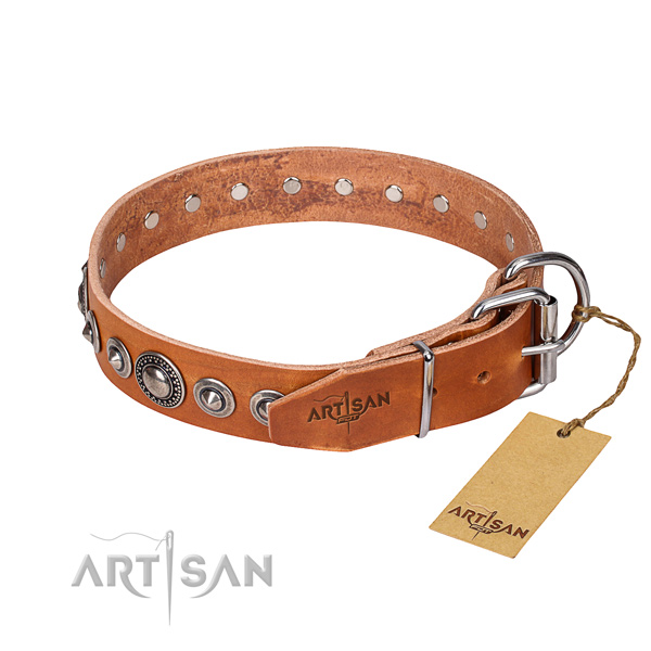 Tan leather dog collar with chrome plated buckle and D-ring