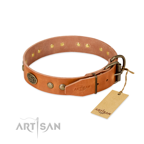 Tan leather dog collar with old bronze-like plated fittings