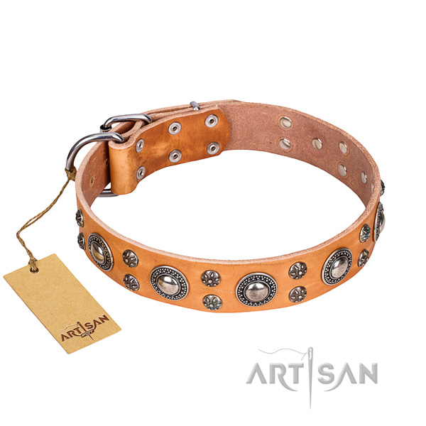 Studded tan leather dog collar