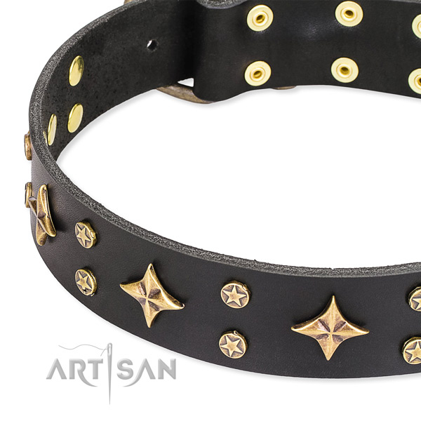 Easy to handle black leather dog collar