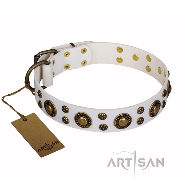 Adorned with bronze-like plated studs white leather dog collar