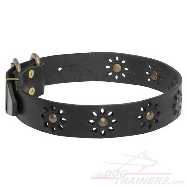 Leather Dog Collar with Rust-proof Brass Decor