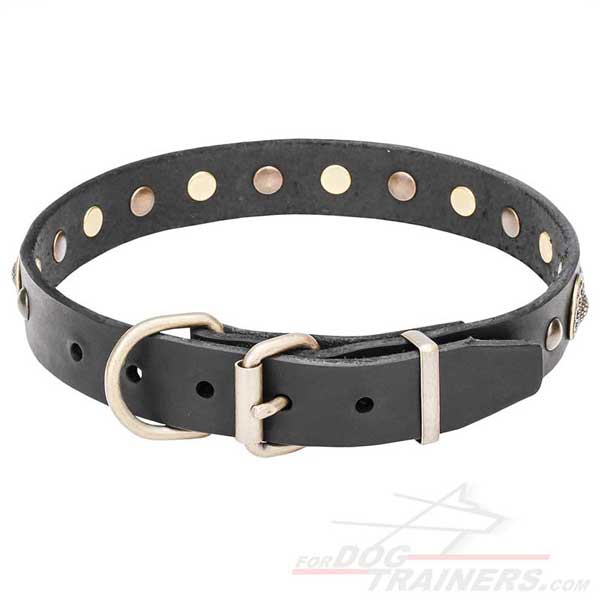 Rust-resistant hardware on leather dog collar