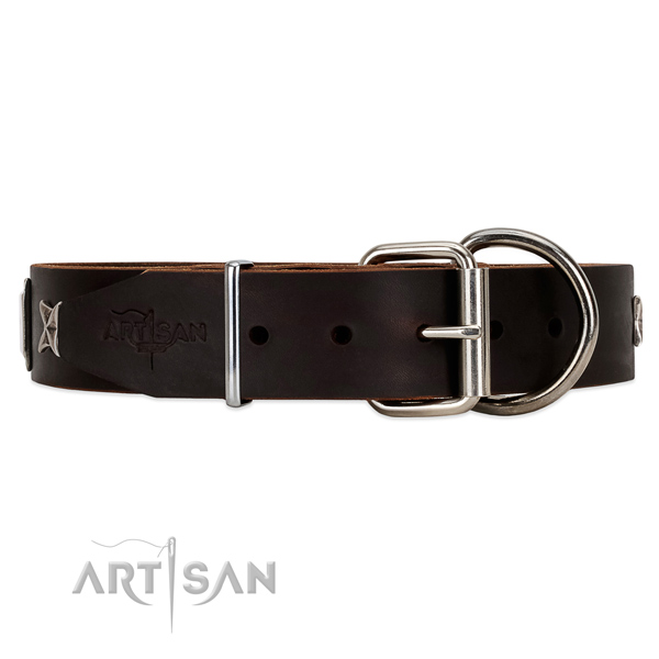 Brown leather dog collar with chrome plated hardware