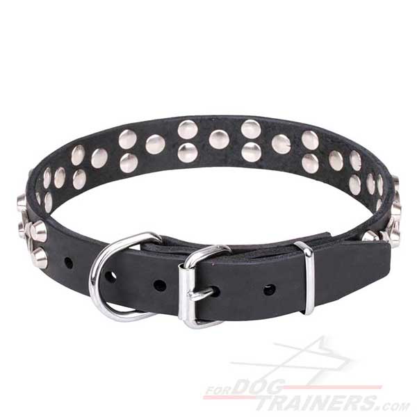 Chrome plated hardware on leather dog collar