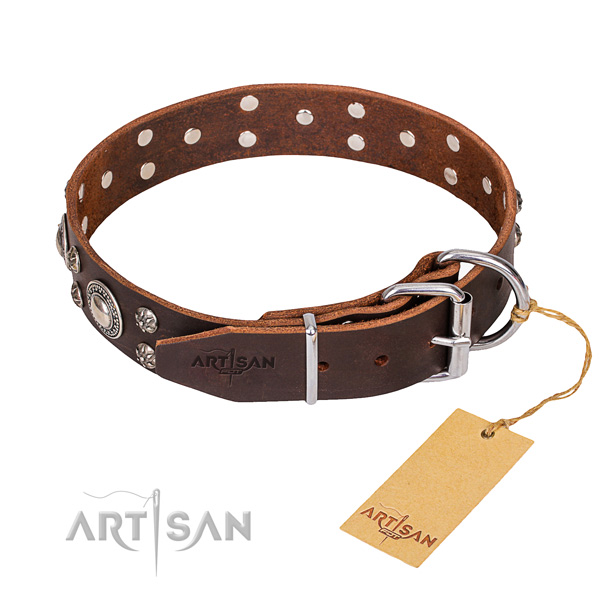 Strong brown leather dog collar