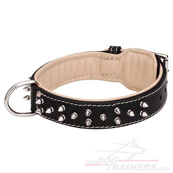Comfort and style in one collar for your dog