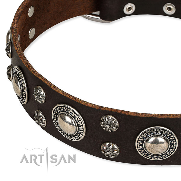 Brown leather dog collar with reliable hardware