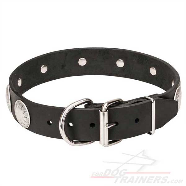 Rust-resistant hardware for leather dog collar