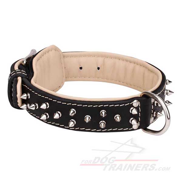 Leather Dog Collar with Spikes