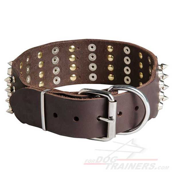 Strong metal buckle and D-ring on dog collar
