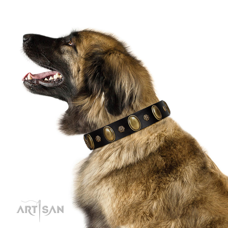 First-class Black Leather Leonberger Collar for Stylish Walking